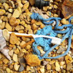 Old toothbrush laying on rocks next to seashell.