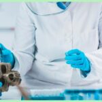 archaeologist studying an ancient human skull in a lab