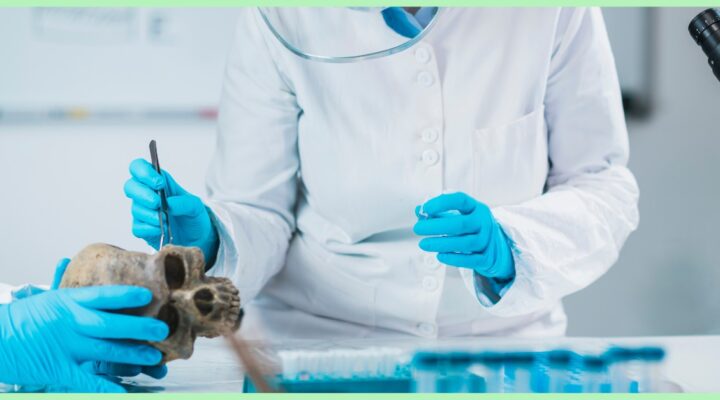 archaeologist studying an ancient human skull in a lab